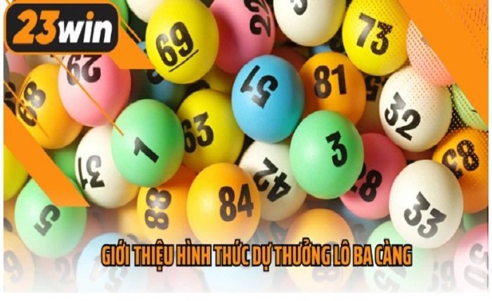 23WIN