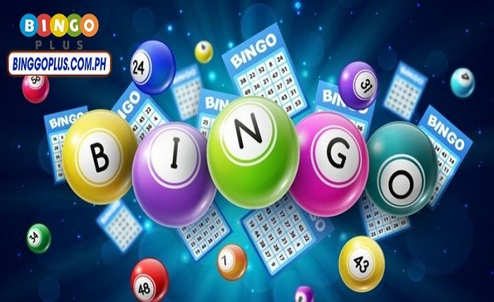Binggo Plus