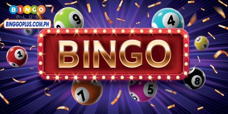 Binggo Plus