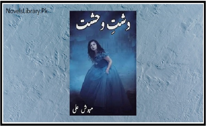 dasht e wehshat novel