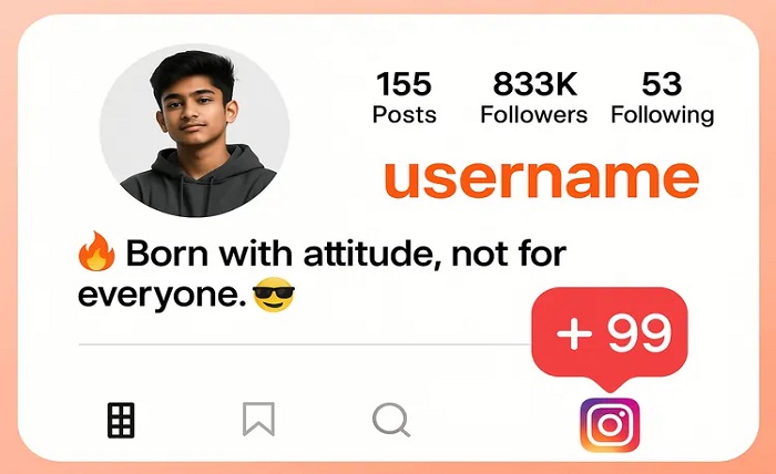 इंस्टाग्राम बायो attitude